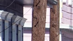 Identifican al responsable del atropello en Nueva Orleans: tenía una bandera de ISIS en el vehículo