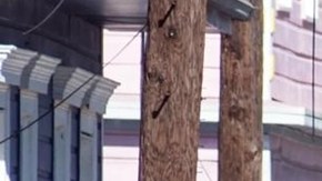 Identifican al responsable del atropello en Nueva Orleans: tenía una bandera de ISIS en el vehículo