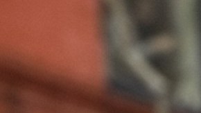 El desfile recorrió parte de Park Ave. y luego siguió por la Tercera Avenida para terminar en la calle 115.