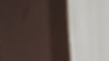 La ansiedad por separación de los perros puede evitarse siguiendo consejos de especialistas.