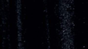 Peso Pluma, Lady Gaga, Billie Eilish, Olivia Rodrigo, entre otros, se presentarán en el Intuit Dome.