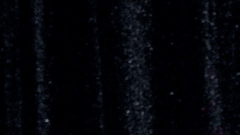 Peso Pluma, Lady Gaga, Billie Eilish, Olivia Rodrigo, entre otros, se presentarán en el Intuit Dome.