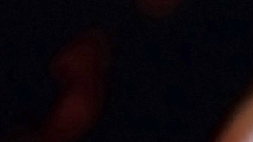 Varios eventos han sido reprogramados por los incendios que afectan a California.