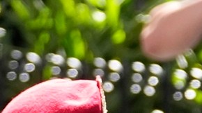 EE.UU. ofrece hasta $25 millones por la captura de Maduro y su ministro de Interior