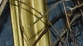 Hugh Jackman, Blake Lively y Ryan Reynolds.