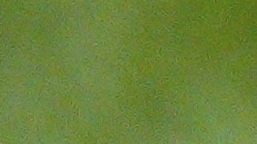 Imagen referencial Sugar Bowl.