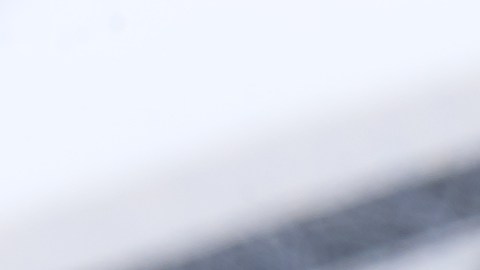 seguro-social-967-febrero