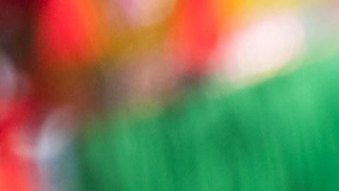 La tradicional fiesta china tiene un gran espacio ganado entre los neoyorquinos.