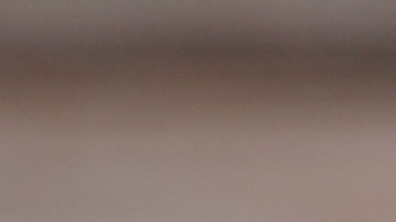 El té de hinojo se ha empleado desde la antigüedad para aliviar malestares digestivos.