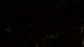 Para informarse sobre todas las actividades de esta compañía que forma parte de la Hispanic Federation pueden visitar teatrocirculo.org.