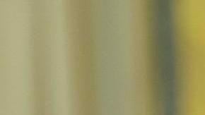 El presidente Donald Trump firma orden este jueves 30 de enero en la Casa Blanca.