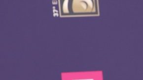 Thalía robó miradas con su figura y vestido.