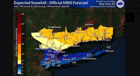 Pronóstico climático para el 8 y 9 de febrero de 2025 en NY y área triestatal.