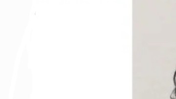 Jorge J. Ramos fue arrestado en su hogar en Queens (NYC).