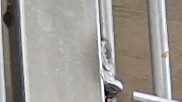 La medida impacta a más de 80 comercios que distribuyen estos animales vivos en NYC.