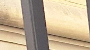 Las proyecciones son que si el gobierno no logra desmantelar esa agencia federal, igual vendrán recortes a programas específicos que benefician a los distritos escolares más pobres.