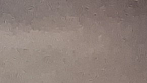 Las filas alrededor de las despensas de alimentos son cada vez más largas.