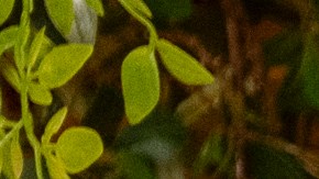 El Chef Gaurav Anand (izq) representa las bulliciosas calles de Nueva Delhi con sus recetas modernas y el Chef Vipul Gupta es más arraigado a la comida tradicional.