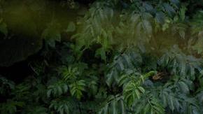 No se han identificado a las víctimas por ahora.