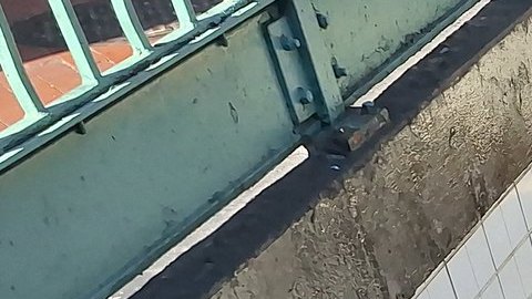NYPD y sectores comerciales han documentado que desde que estas reformas están vigentes, los delincuentes tienen menos temor a las consecuencias penales de sus acciones.