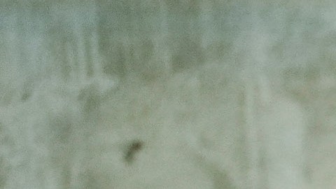 Anuncian nuevo centro de salud comunitario en Queens