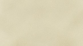 Elon Musk en la Casa Blanca