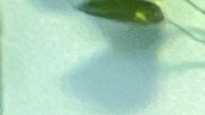 Sarahi Marquez, beneficiaria de Daca, dueña el restaurante "San Jerónimo", de Staten island