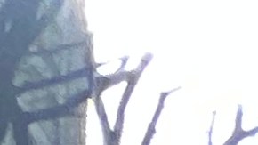 Batalla en la corte para que Administración Adams implemente expansión de programa de vales de vivienda