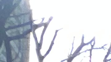 Batalla en la corte para que Administración Adams implemente expansión de programa de vales de vivienda