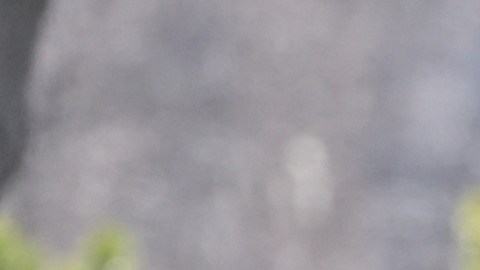 Durante una entrevista, el mandatario aseguró que habló con Putin para "rápidamente" termine el conflicto.