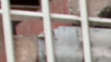 Michael Karl Geilenfeld, de Colorado, podría recibir 30 años de cárcel por cada cargo en su contra.