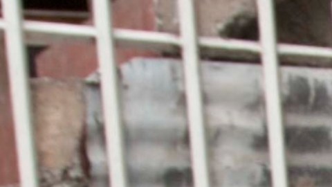 Michael Karl Geilenfeld, de Colorado, podría recibir 30 años de cárcel por cada cargo en su contra.