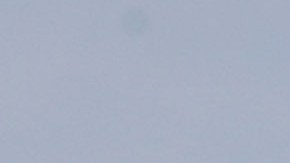 Los padres de la menor fueron condenados a 14 años de cárcel.