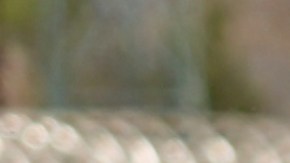 Abbott, cercano a los ideales de Trump, se ha convertido en uno de los pioneros de las políticas antiinmigrantes en el país.