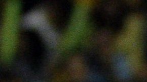 Omar Quintero, seleccionado de México, también representó a su país en el equipo nacional.