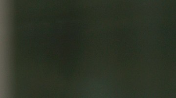 EE.UU. ha mantenido estrecha relación con Jorsania y Egipto.