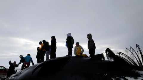 La noche polar se puede traducir como un fenómeno en el que el sol no sale por el horizonte durante más de 24 horas.