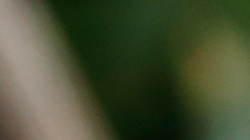 Trump junto a Putin en 2017.