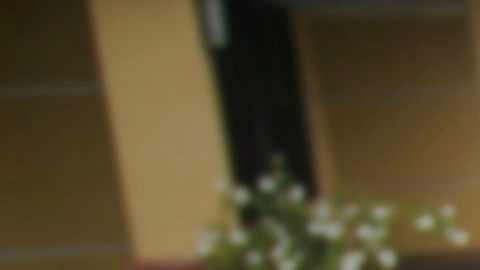 ICE realiza arresto de inmigrante