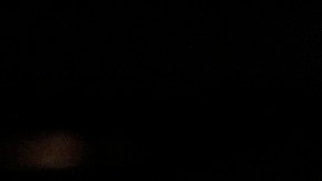 Arrestos migratorios