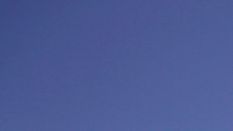 Archivos Nacionales indican que en un futuro podría abrir nuevamente.