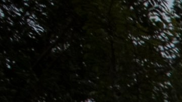 Agentes del Servicio de Inmigración y Control de Aduanas (ICE)