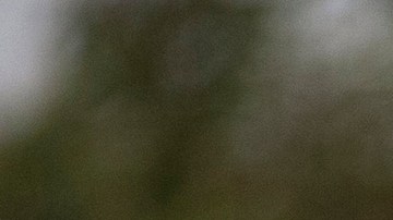 Agentes de ICE en California