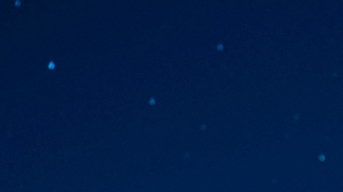 El lanzamiento se produjo el miércoles a la 1:00 a.m.