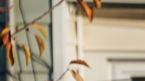 Una vecina dijo que "no se sorprendió en absoluto" al escuchar lo ocurrido, debido a la cantidad de gente que entra y sale en bicicleta de la casa.