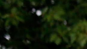 Las autoridades no han determinado el motivo detrás del ataque.