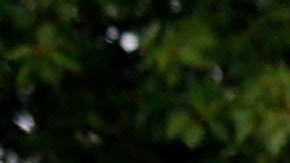 Las autoridades no han determinado el motivo detrás del ataque.