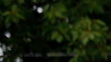 Las autoridades no han determinado el motivo detrás del ataque.