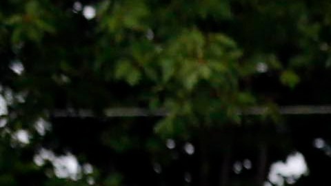 Las autoridades no han determinado el motivo detrás del ataque.