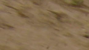 Terremoto en Ecuador